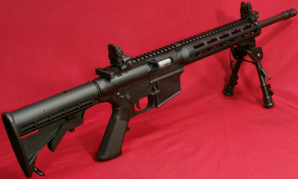 Smith & Wesson M&P15-22 Sport Review Iso View