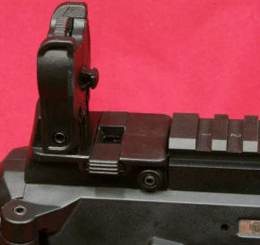 Beretta ARX 160 Rear Sight Deployed