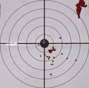 Hornady Varmint Express #4 Buckshot 7 Yards