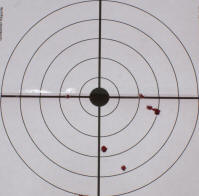 Herter's Mini-Buckshot 7 Yards