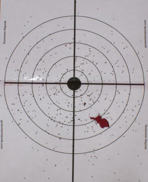 #8 Birdshot 7 Yards