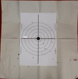 Hornady Varmint Express #4 Buckshot 21 Yards