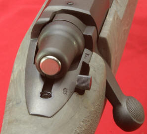 Remington 700 SPS Tactical Review