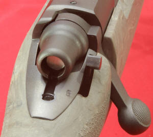 Remington 700 SPS Tactical Review