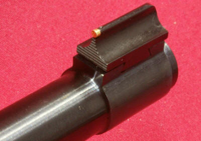 Ruger 10/22 Rifle with LaserMax Review