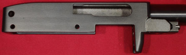 Ruger 10/22 Carbine with LaserMax Laser Review