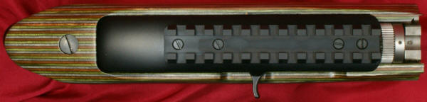 New Ruger 22 Charger: Receiver Top View