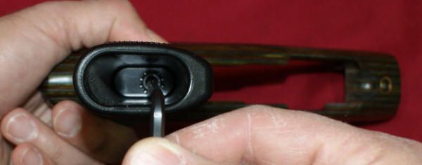 New Ruger 22 Charger: Grip Bolt