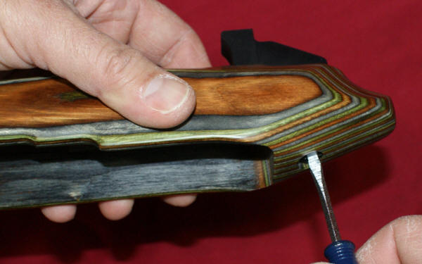 New Ruger 22 Charger: Remove Grip Mounting Lug