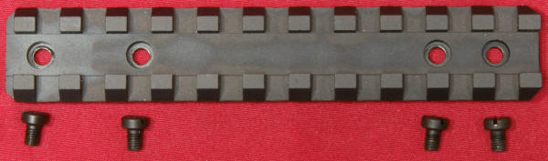 New Ruger 22 Charger: Picatinny Rail