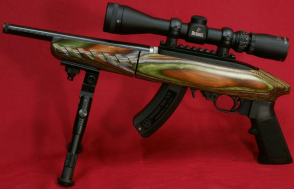 Ruger 22 Charger with Burris Handgun Scope