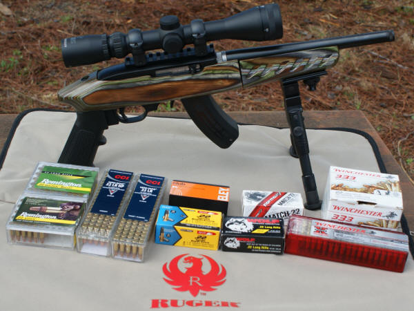 Ruger 22 Charger with Burris Handgun Scope