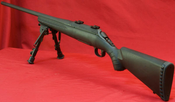 Ruger American Rifle Review