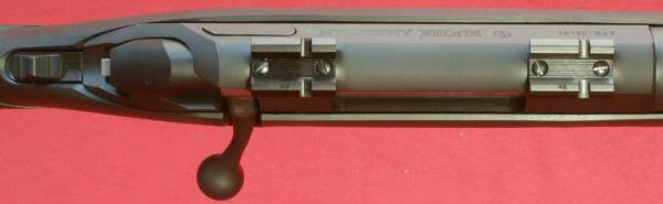 Ruger American Rifle Review