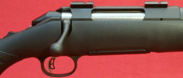 Ruger American Rifle Review
