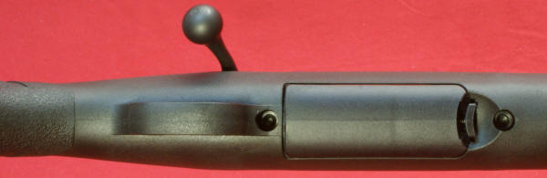 Ruger American Rifle Review