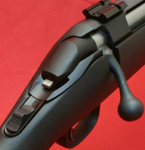 Ruger American Rifle Review