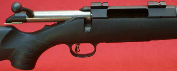 Ruger American Rifle Review