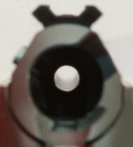 Ruger American Rifle Review