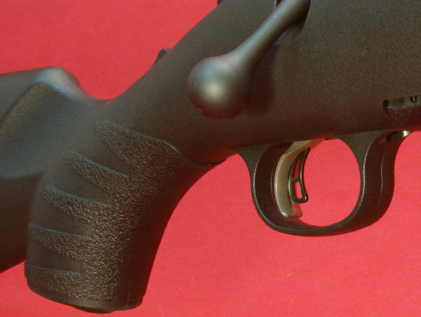 Ruger American Rifle Review