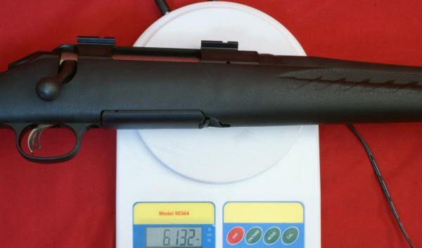 Ruger American Rifle Review