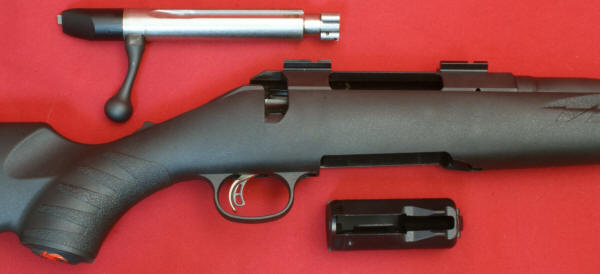 Ruger American Rifle Review