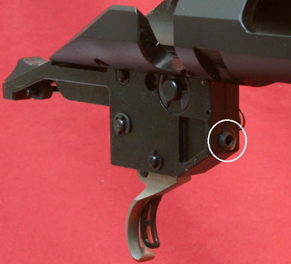 Ruger American Rifle Review