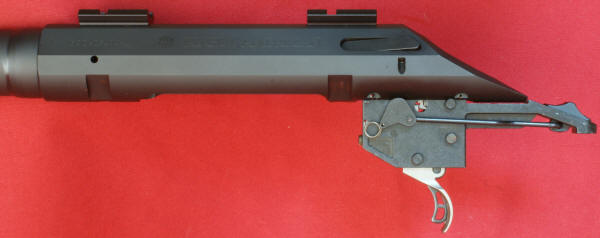 Ruger American Rifle Review