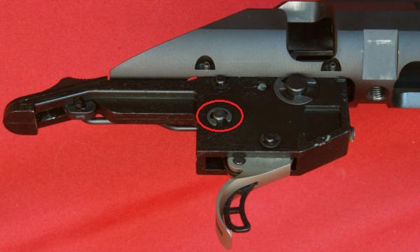 Ruger American Rifle Review