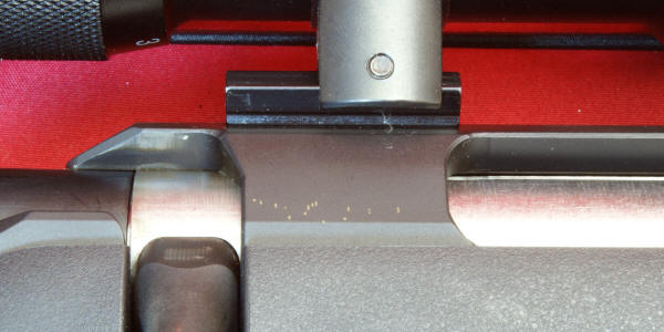 Ruger American Rifle Review