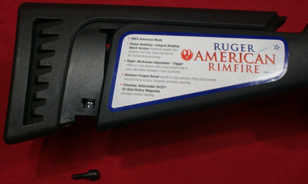 Ruger American Rimfire Review