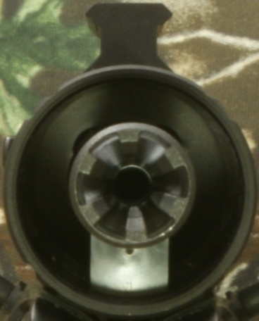 Ruger SR-22 Review