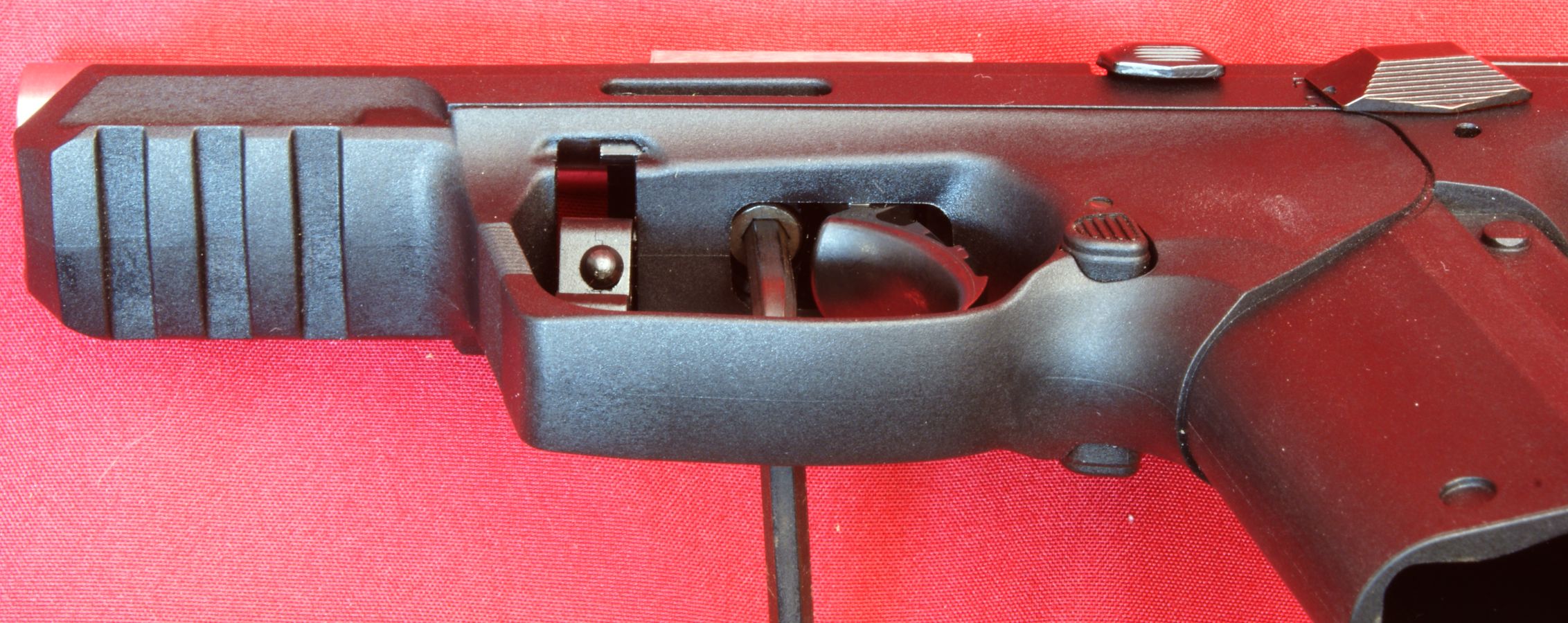 Ruger SR22 Pistol Review Part 4 Disassembly