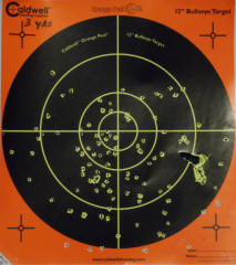 Smith & Wesson Governor Review