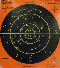 Smith & Wesson Governor Review