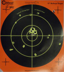 Smith & Wesson Governor Review