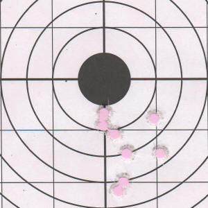 Taurus 709 Slim Pistol Review Hornady American Gunner