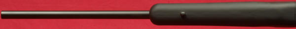 Thompson/Center Dimension Rifle Review